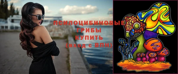 гидра Арсеньев