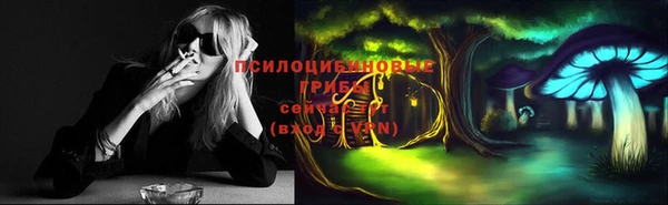 дмт Баксан