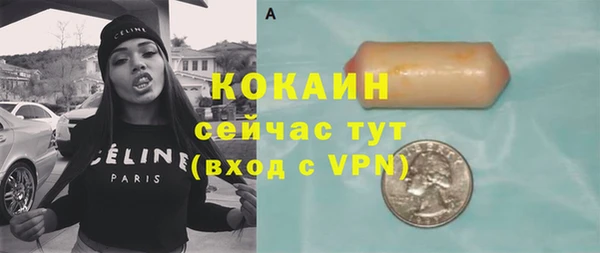 гидра Арсеньев