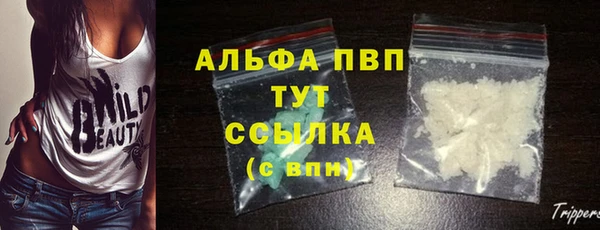 дмт Баксан